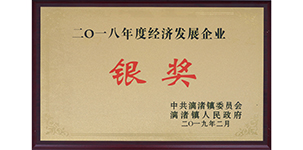 榮獲漓渚鎮(zhèn)2018年度經(jīng)濟發(fā)展銀獎.JPG