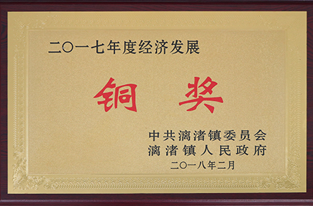 漓渚鎮(zhèn)2017年度經(jīng)濟發(fā)展銅獎